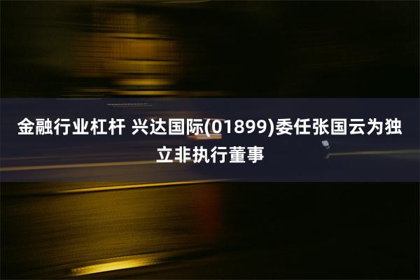 金融行业杠杆 兴达国际(01899)委任张国云为独立非执行董事