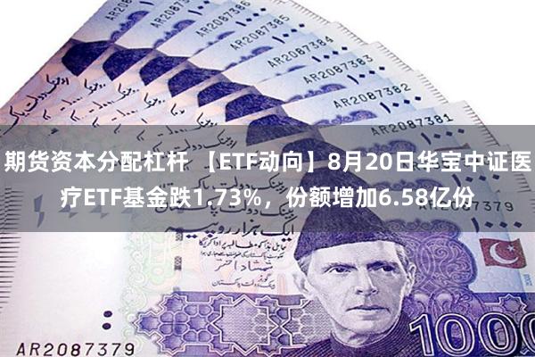 期货资本分配杠杆 【ETF动向】8月20日华宝中证医疗ETF基金跌1.73%，份额增加6.58亿份