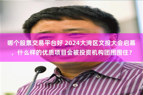 哪个股票交易平台好 2024大湾区文投大会启幕，什么样的优质项目会被投资机构团团围住？