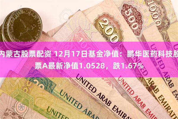 内蒙古股票配资 12月17日基金净值：鹏华医药科技股票A最新净值1.0528，跌1.67%