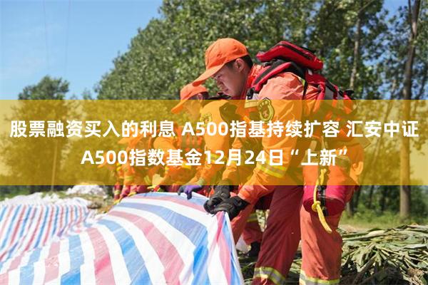 股票融资买入的利息 A500指基持续扩容 汇安中证A500指数基金12月24日“上新”