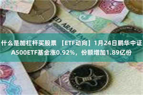 什么是加杠杆买股票 【ETF动向】1月24日鹏华中证A500ETF基金涨0.92%，份额增加1.89亿份